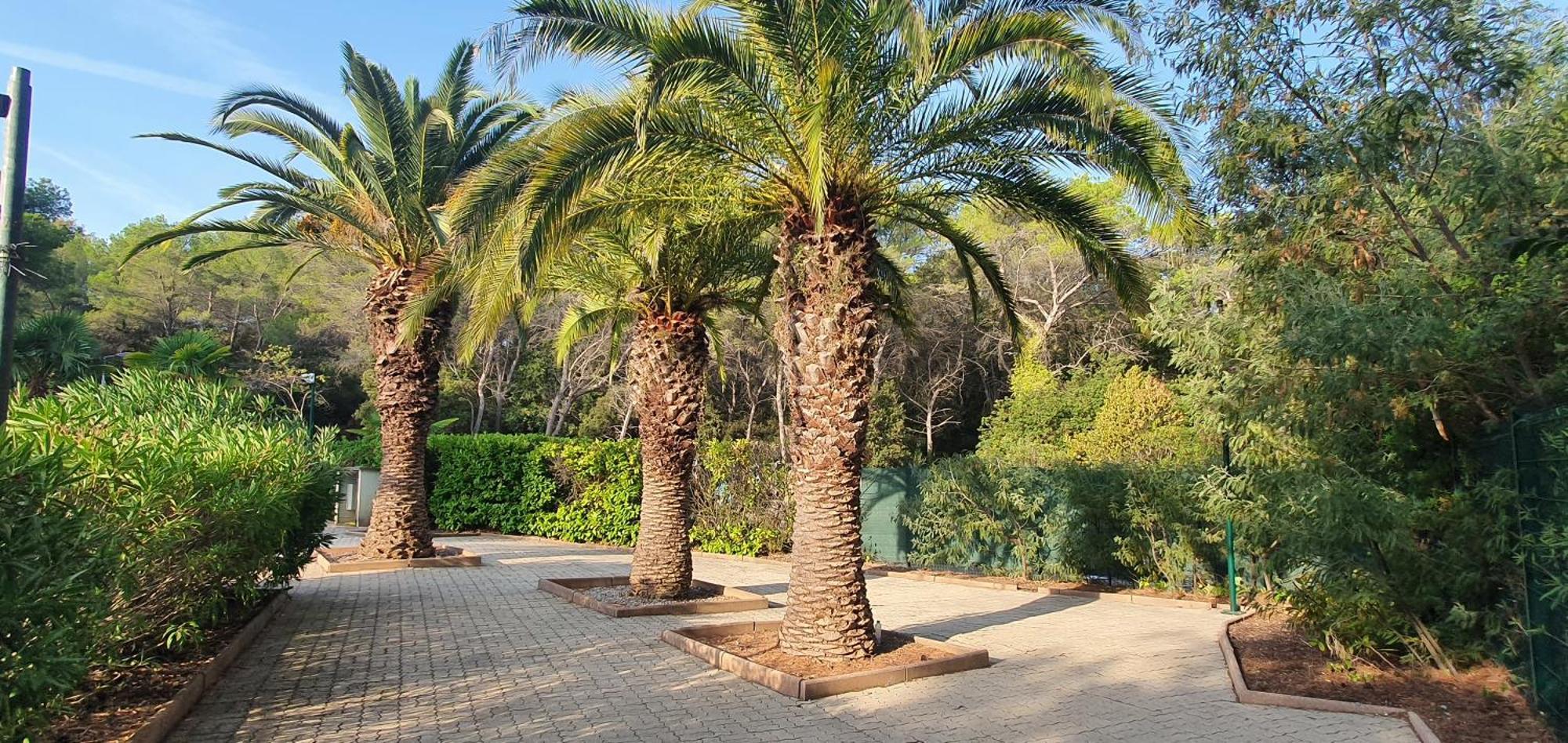 Villa Harmony Vallauris Bagian luar foto